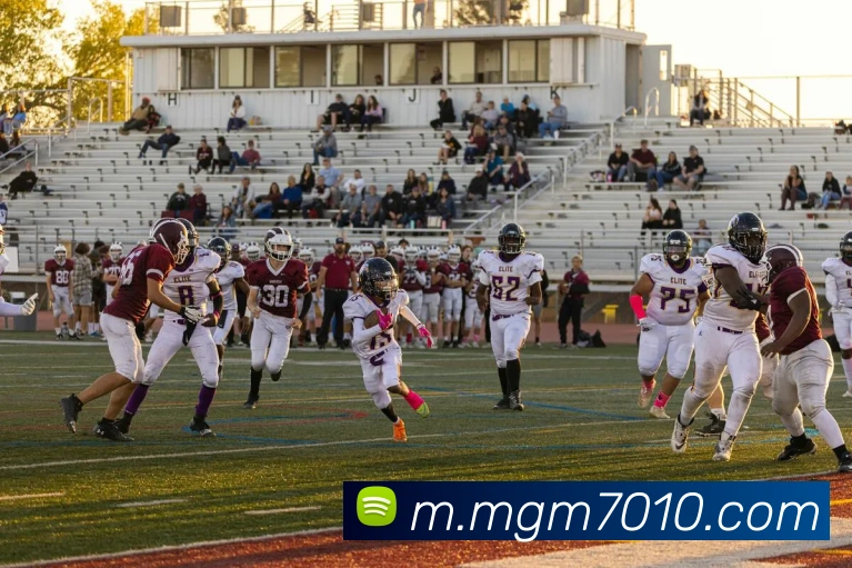 互动解说服务
